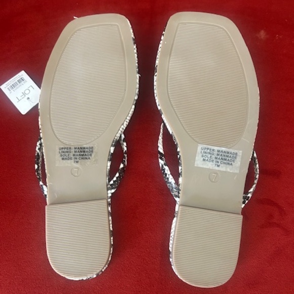 LOFT Women’s Square Toe Flip Flops - Picture 3 of 4
